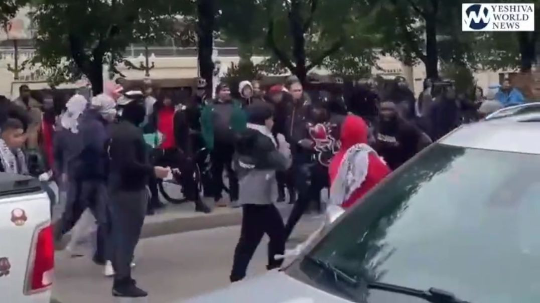 ⁣BLACK ISRAELITES FIGHT PRO PALESTINIAN PROTEST IN CHICAGO