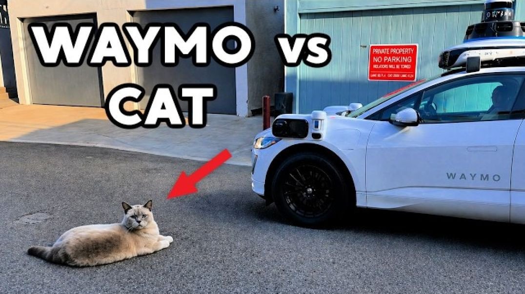 30 Minutes of WAYMO Accidents and Fails (self-driving car)